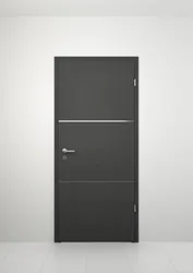 Model: Fusion 10 V