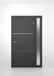 Model: Fusion 10 V